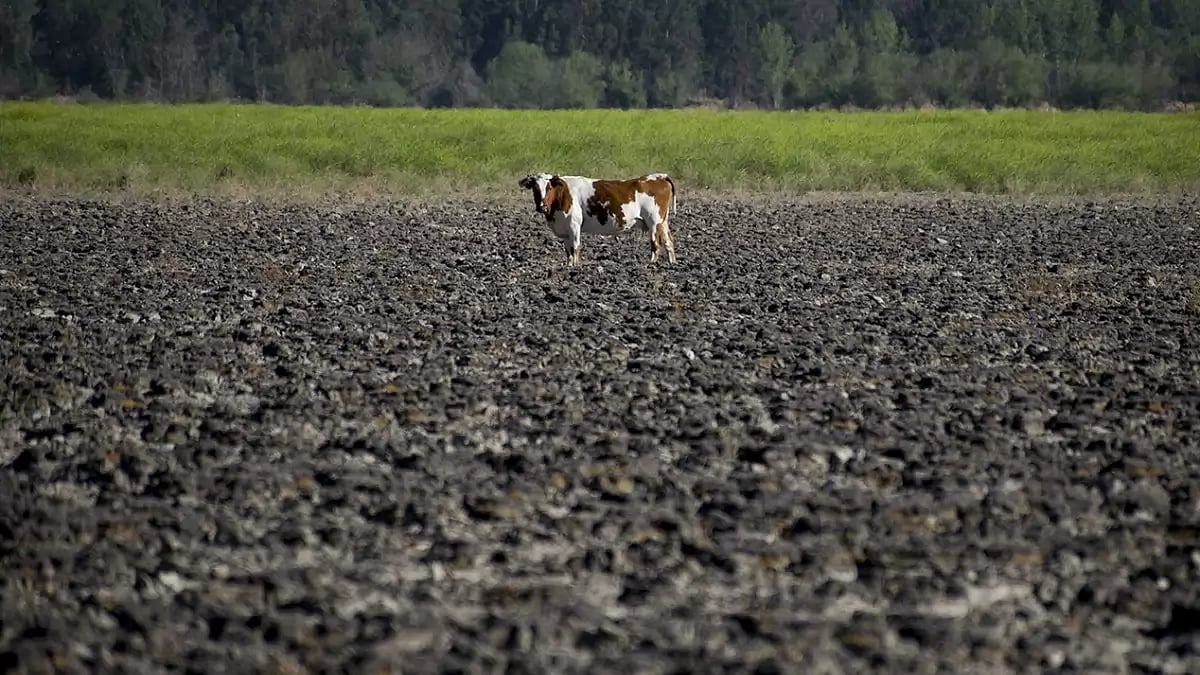 Chile Drought