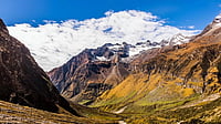 Book Review | Keedajadi: The Many Myths About The 'Himalayan Viagra' Hindi writer Anil Yadav turns to Uttarakhand and returns with a sensuous and bracingly perceptive account of life in the remote Pindar region in his latest book Keedajadi.