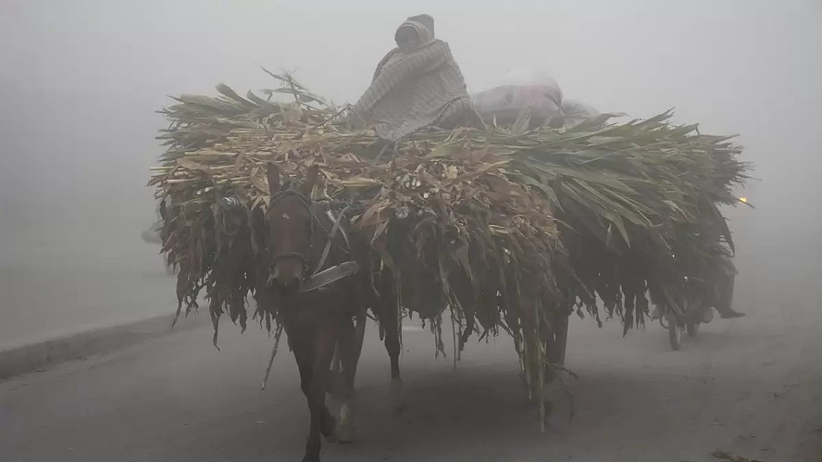 Fog in Lahore
