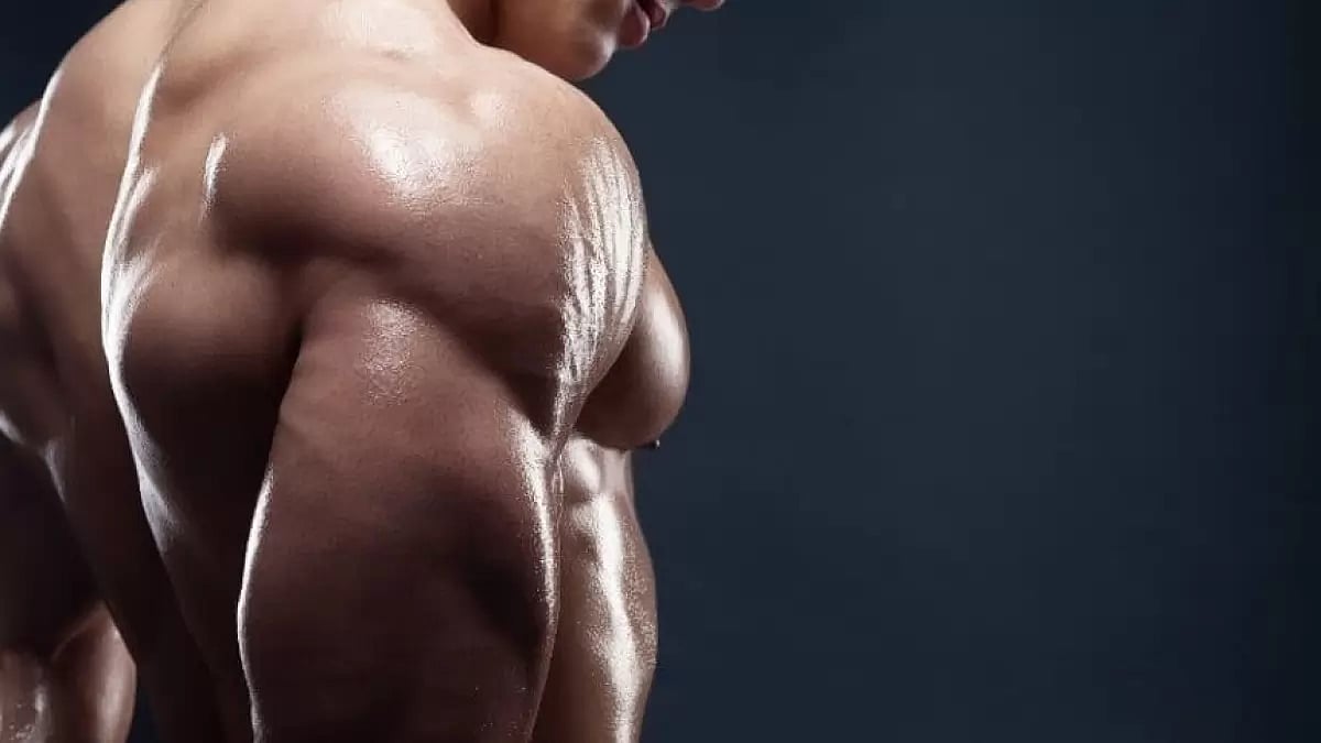 Turkesterone Review