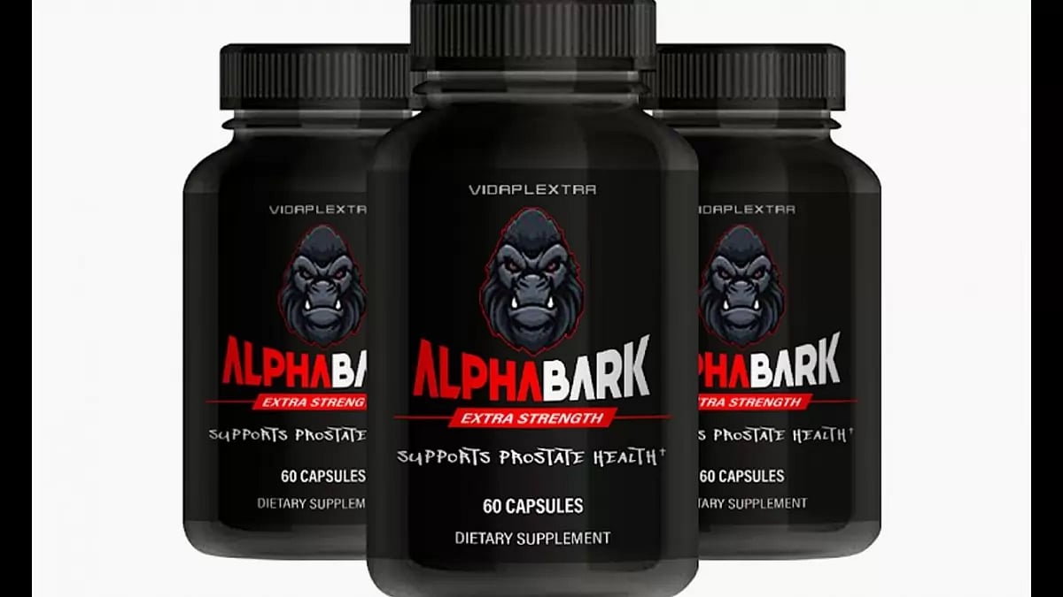 Alpha Bark Reviews 
