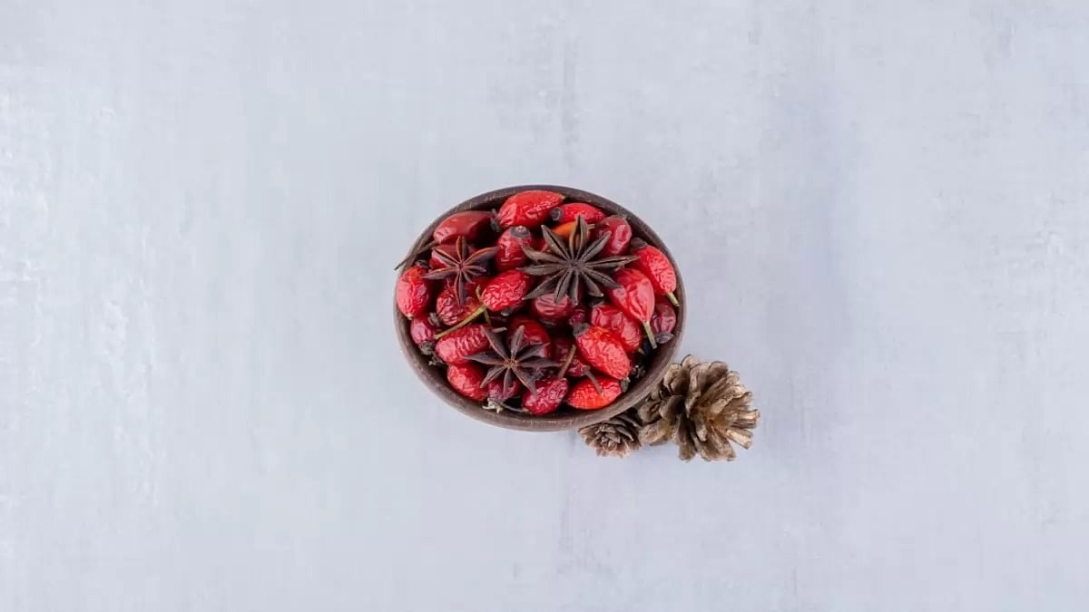 Berberine Supplement Brands