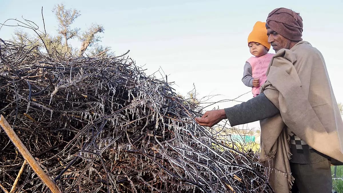 Weather: Cold day in Fatehpur