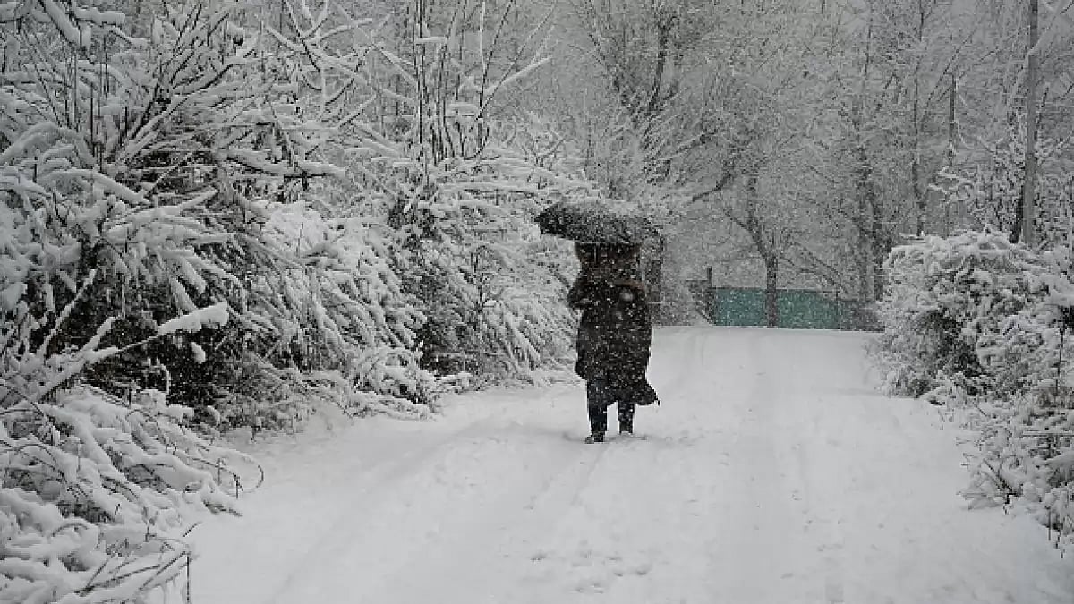 Five poems from poet Moumita Alam on winter. 