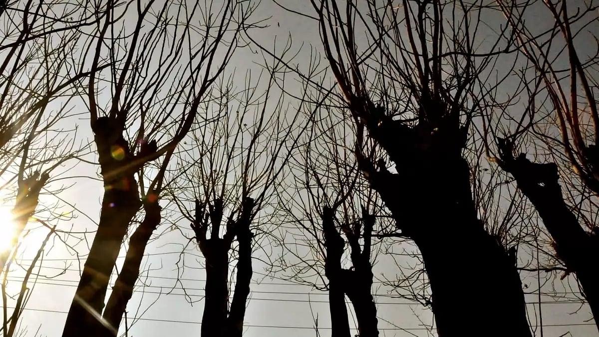 The concept and politics of resilience are also used in climate politics and in the domain of international relations.
