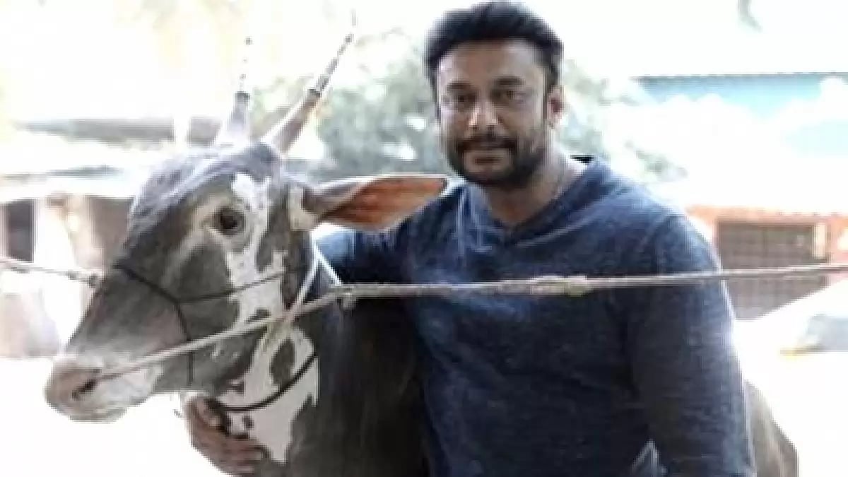 Kannada Actor Darshan, Wife Booked For Keeping Rare Birds In Farmhouse