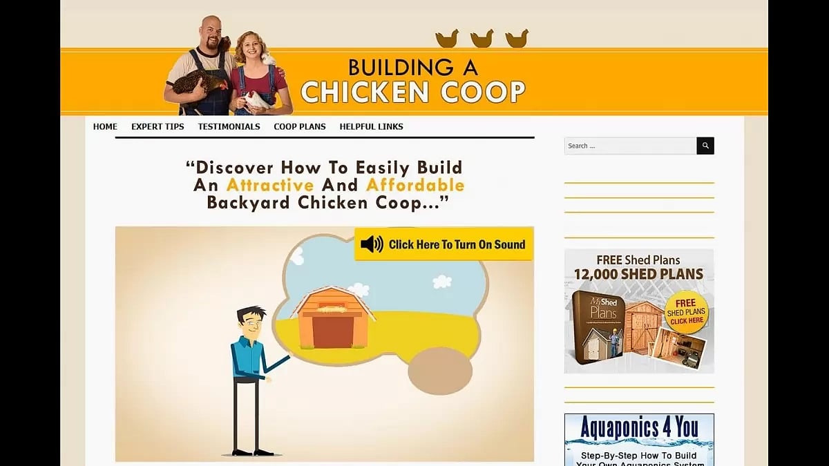 Building A Chicken Coop 