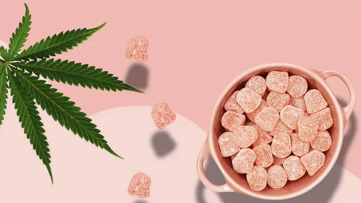 Prime CBD Gummies