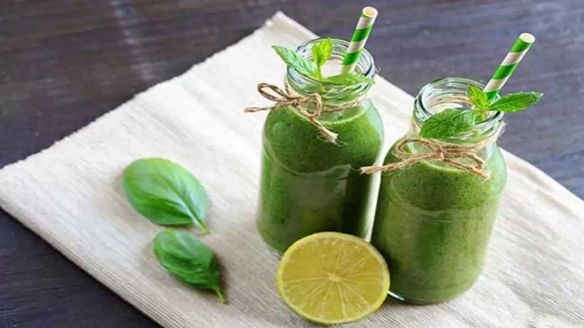 Best Super Greens Powders Supplements