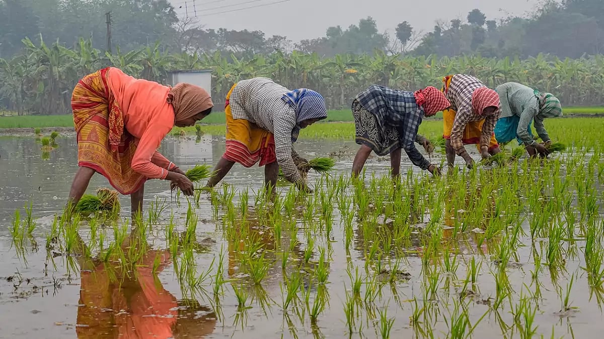 Budget 2023-24: Agriculture