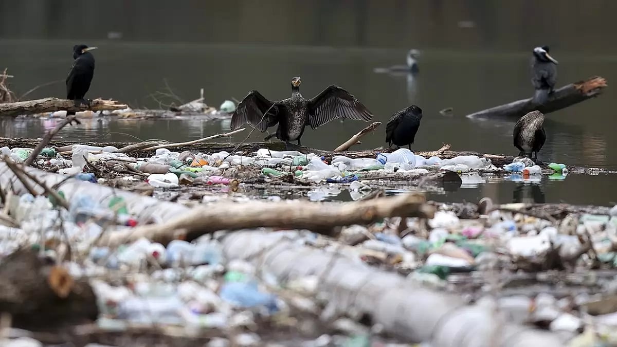 Serbia Waste