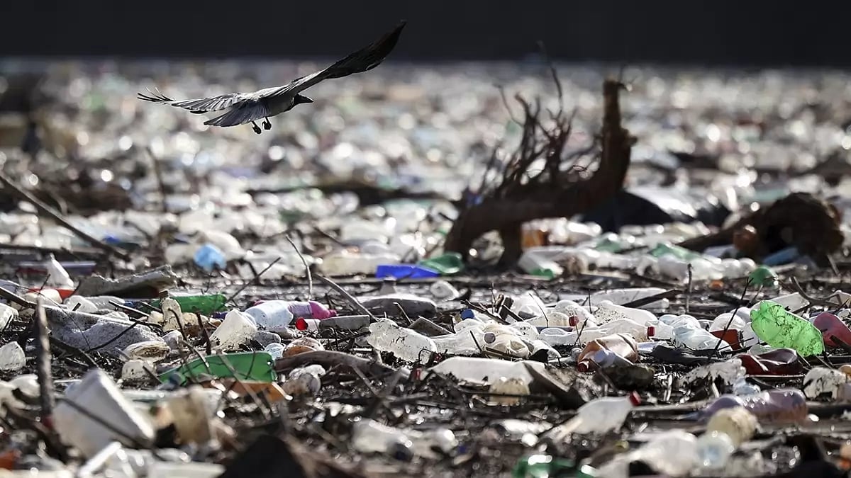 Serbia Waste