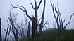 The Storyteller Of Maoting Nagaland landscape