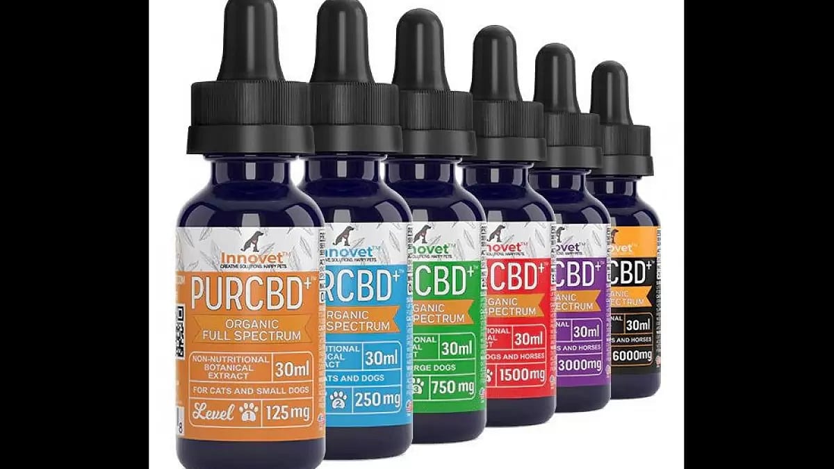 Pet supplements
