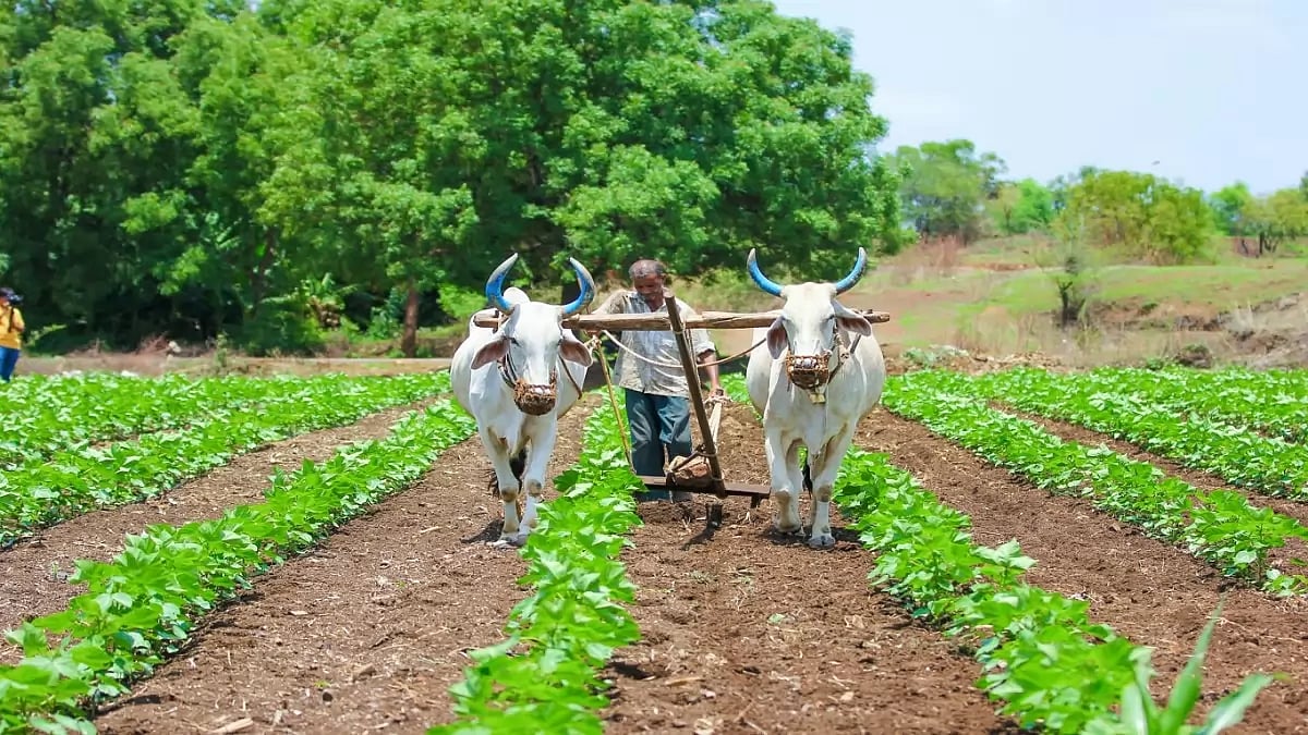 Organic Farming