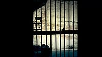 The book Chaff and Grain: Guilt, Innocence and the Dilemmas of Justice is written by Vivek Sood and published by Bloomsbury. 