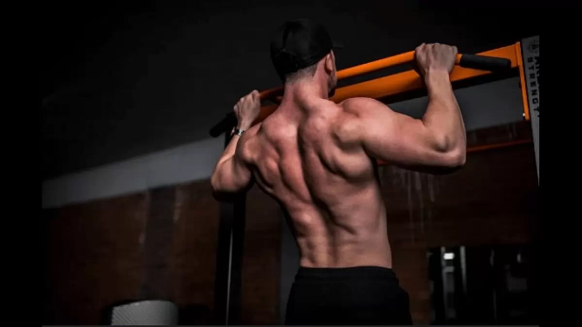 Vintage Muscle Reviews