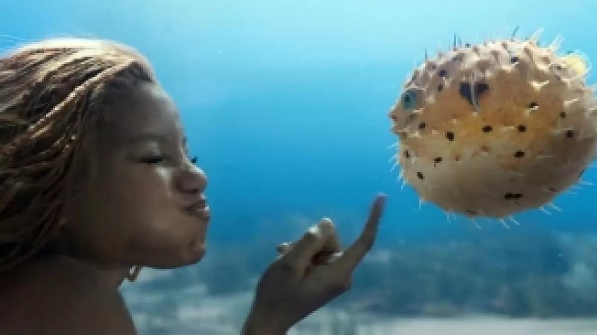 Halle Bailey