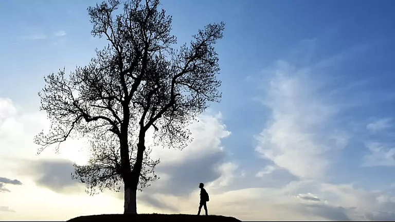 Under an open sky... - null
