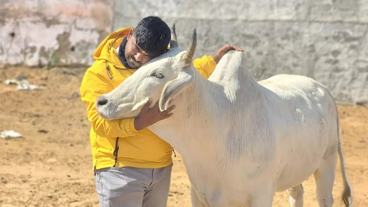 Monu Manesar of Bajrang Dal, the prime accused in the Rajasthan lynchings case