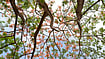 Book Review: Ananya Chatterjee’s Barefoot On Splintered Glass Book Review: Ananya Chatterjee’s Barefoot On Splintered Glass