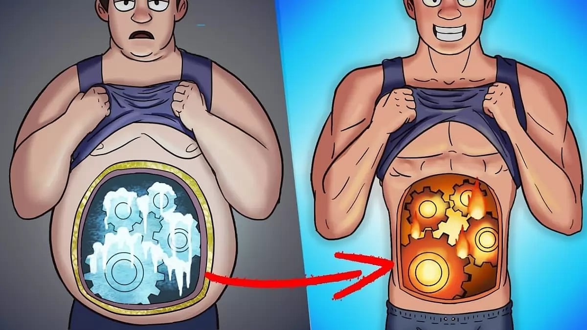 Best Diet Pills For Weight Loss