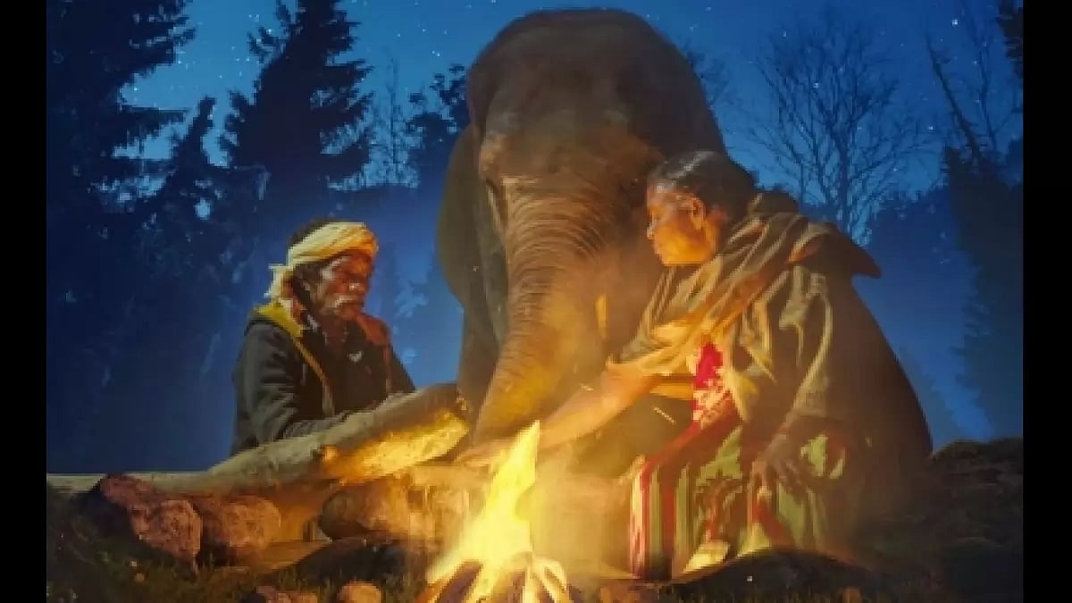 The Elephant Whisperers