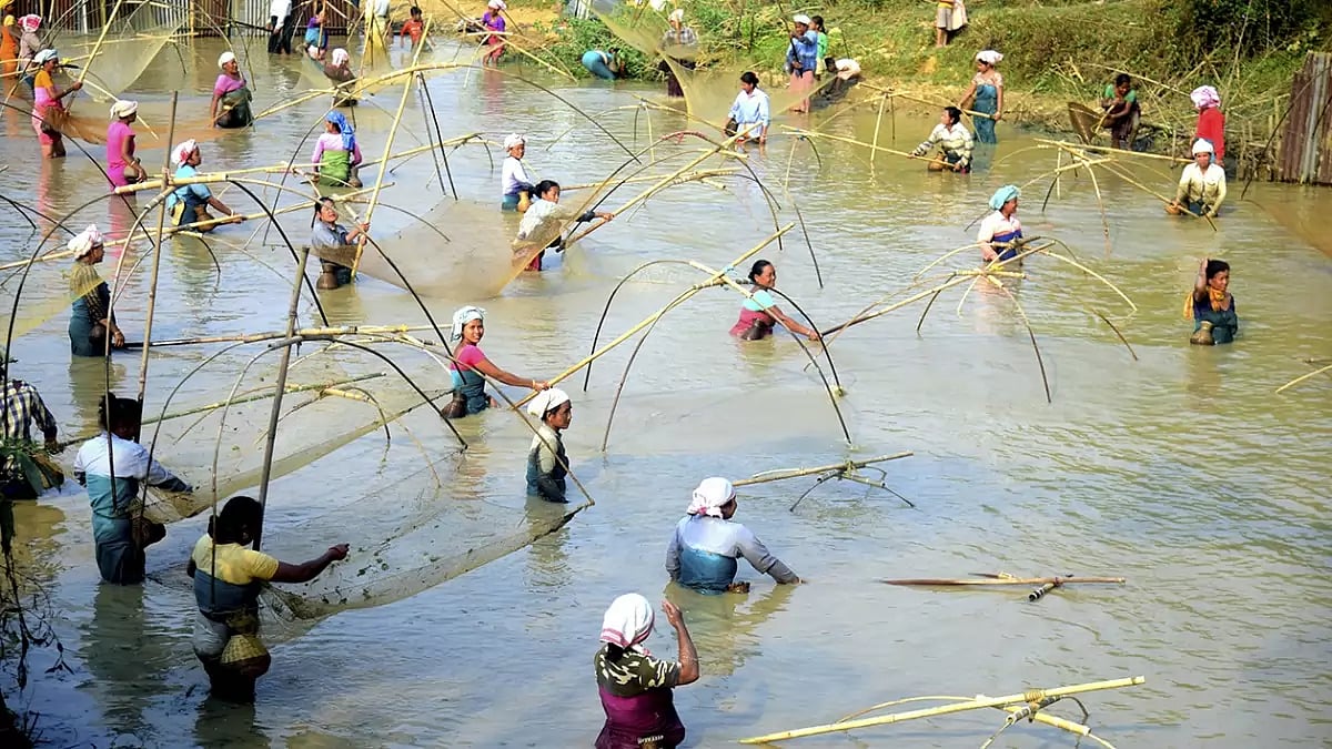 Community fishing at Bhogdabari village