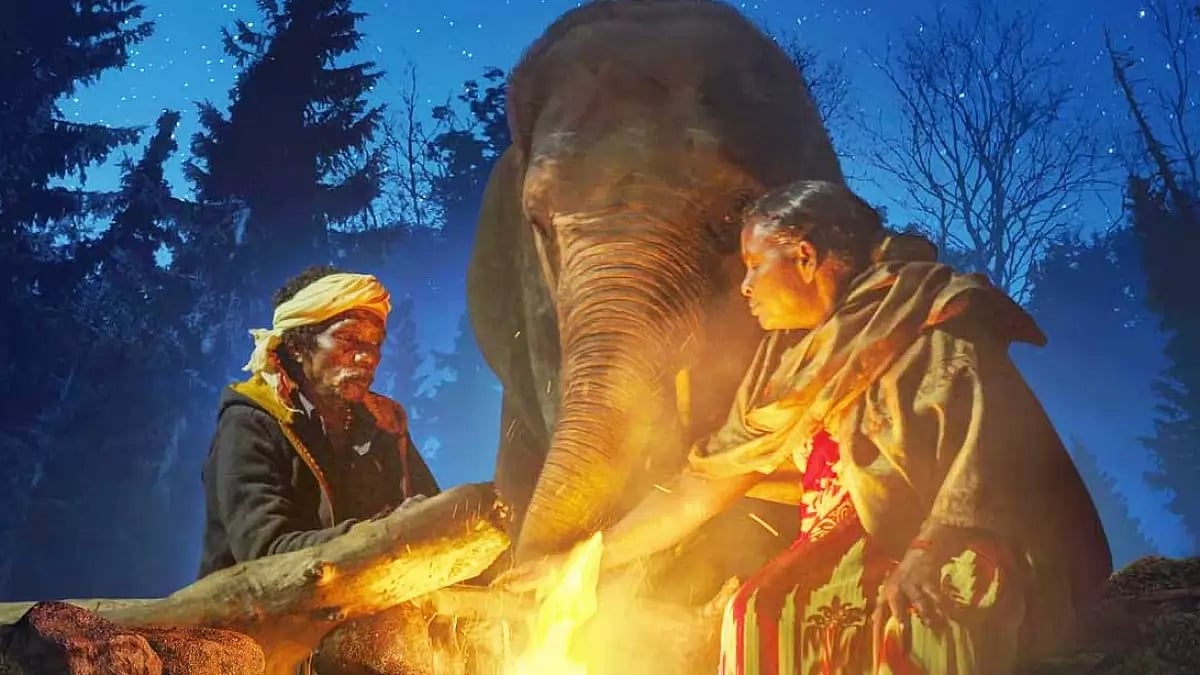 A Still From The Elephant Whisperers