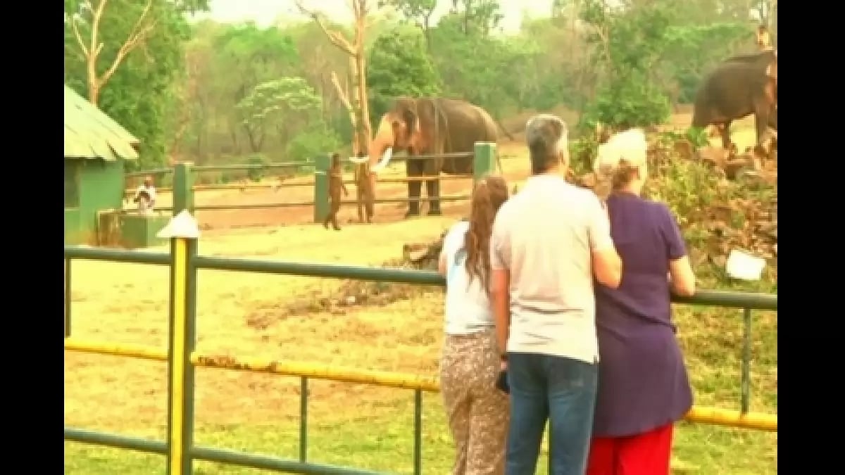 Tourists flock to Theppakadu after Oscar for 'The Elephant Whisperers'