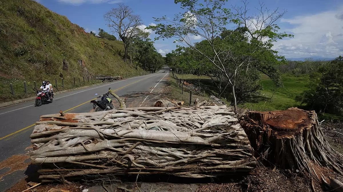 In Pics | Miners In Colombia Protest Against Destruction Of Machines For Gold Mining