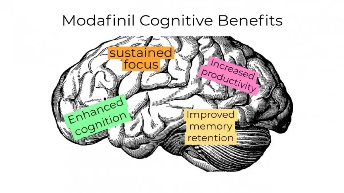 Buy Modafinil