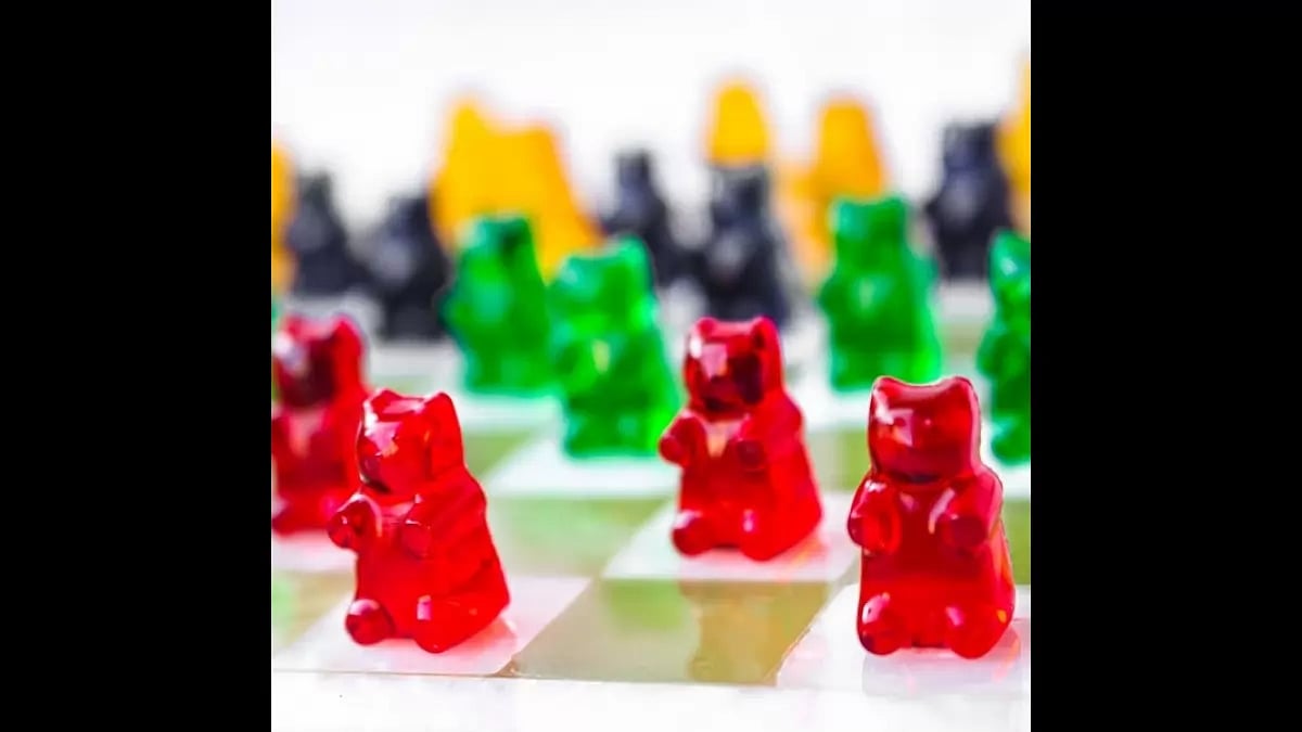 True North CBD Gummies