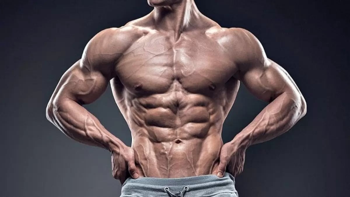 Tren Steroid