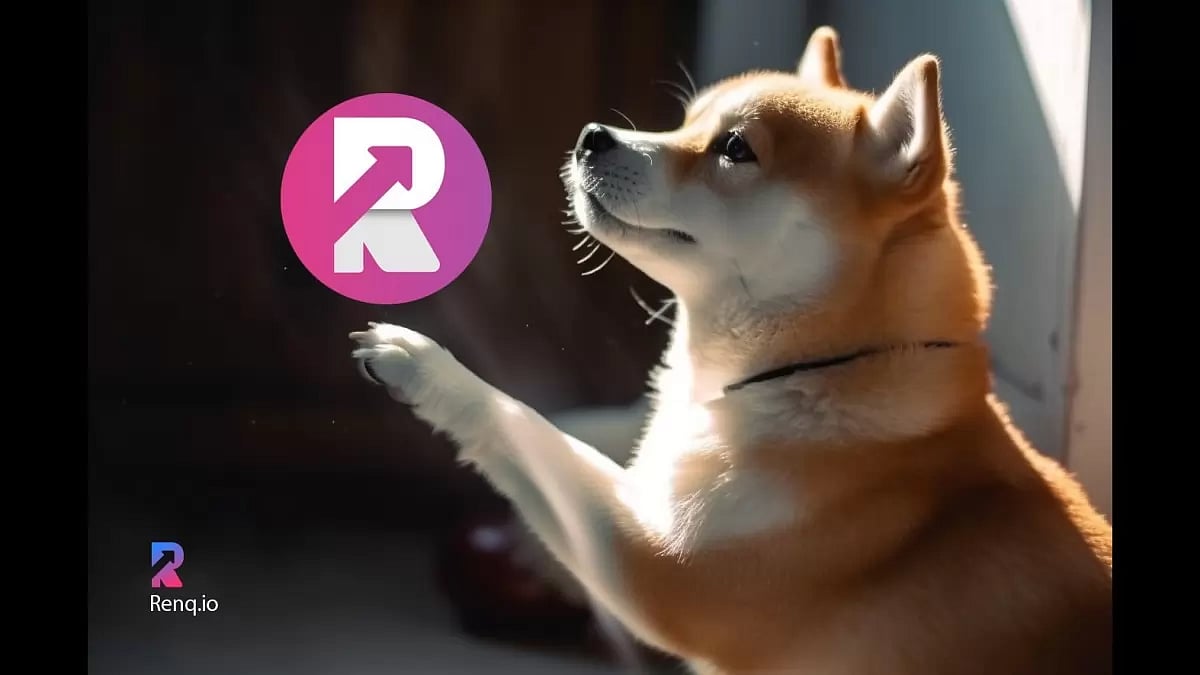  RENQ TOKENS