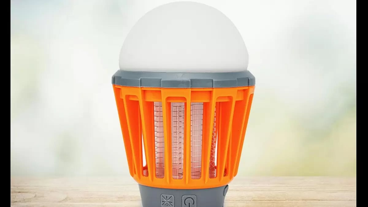 Boundery Bug Bulb Reviews