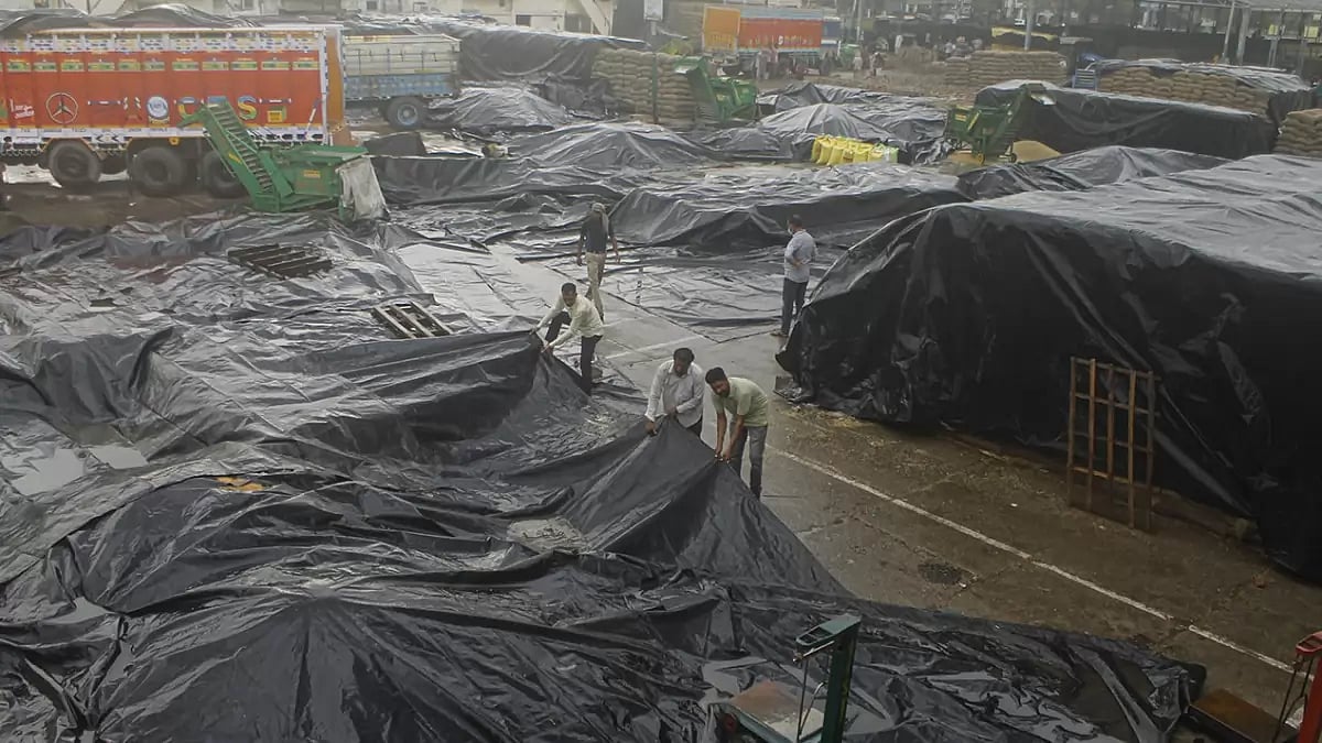 Rain in Patiala