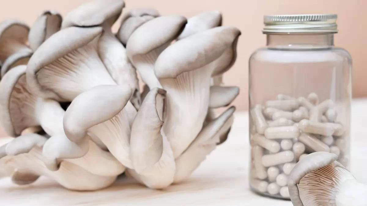 Mushroom Supplement Brands