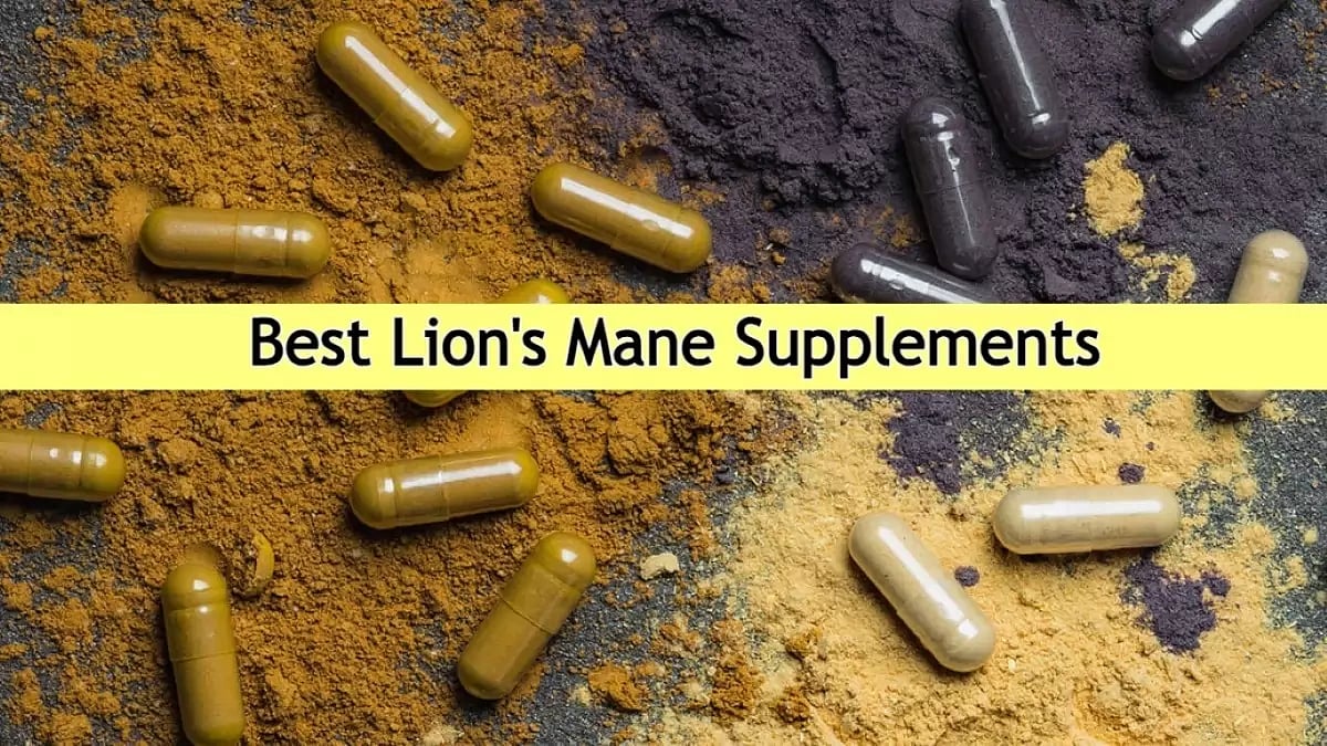 Best Lion's Mane Supplements