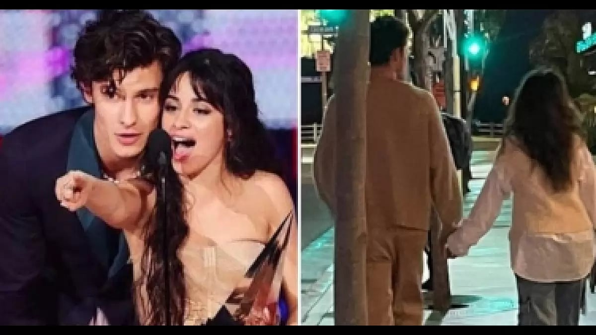 Shawn Mendes, Camila Cabello 