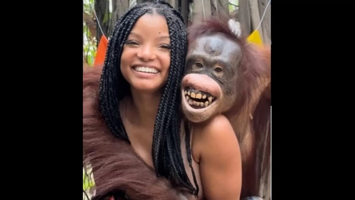Halle Bailey 