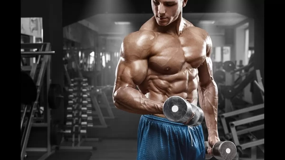 Best Legal Steroids