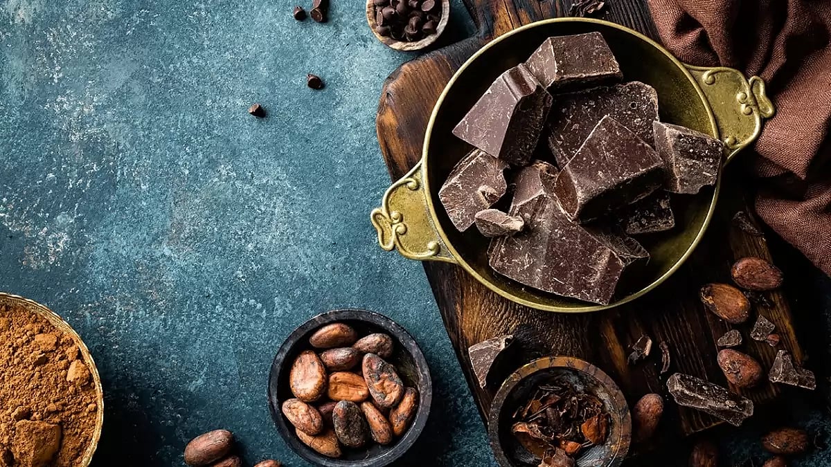 Best Sugar Free Chocolate Brands