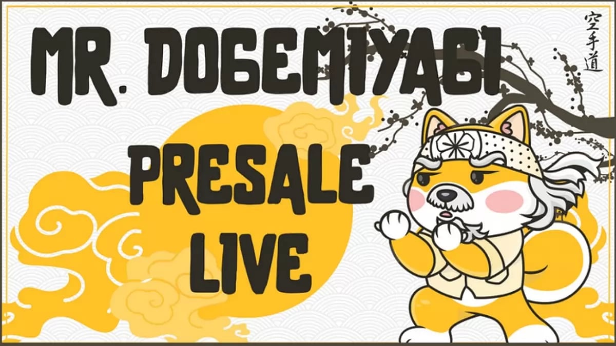 Mr. DogeMiyagi