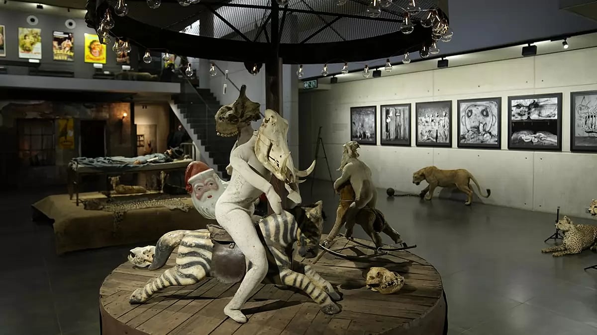 South Africa Wildlife Art Exhibit
