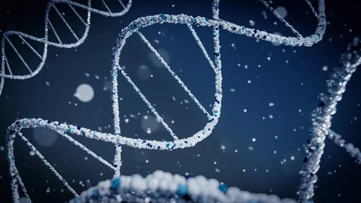 Peptides for Weight Loss