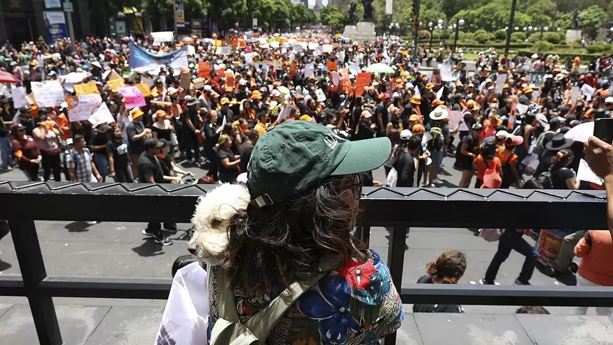 Mexico Animal Rights