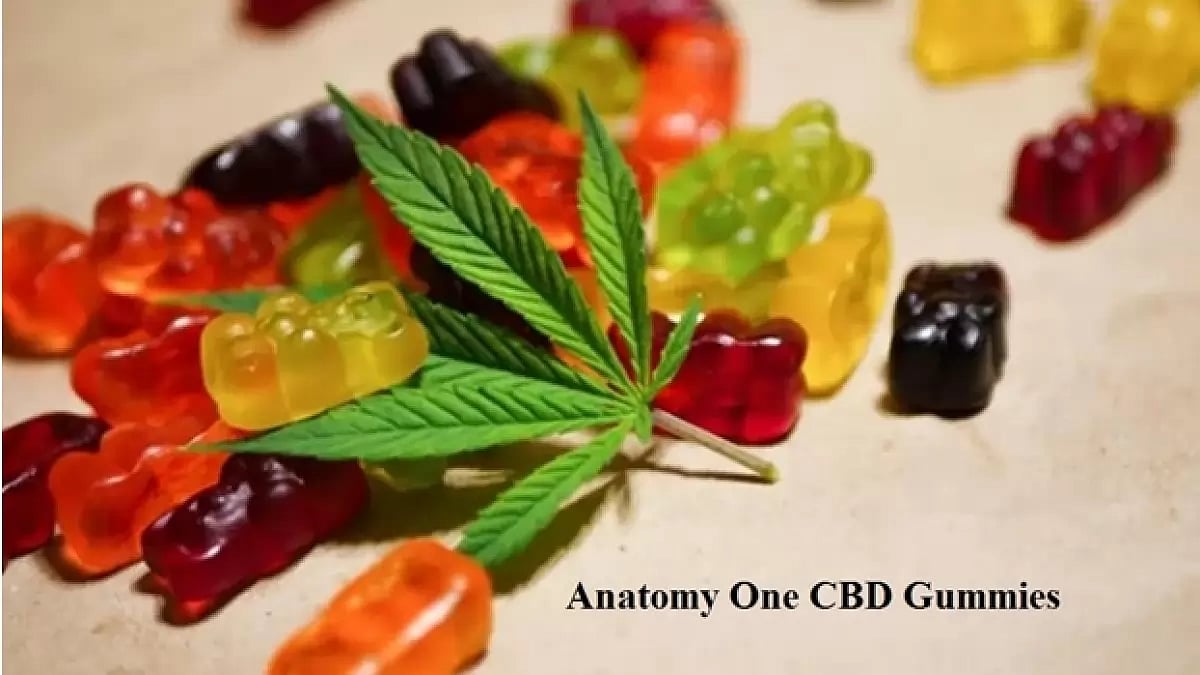 Anatomy One CBD Gummies