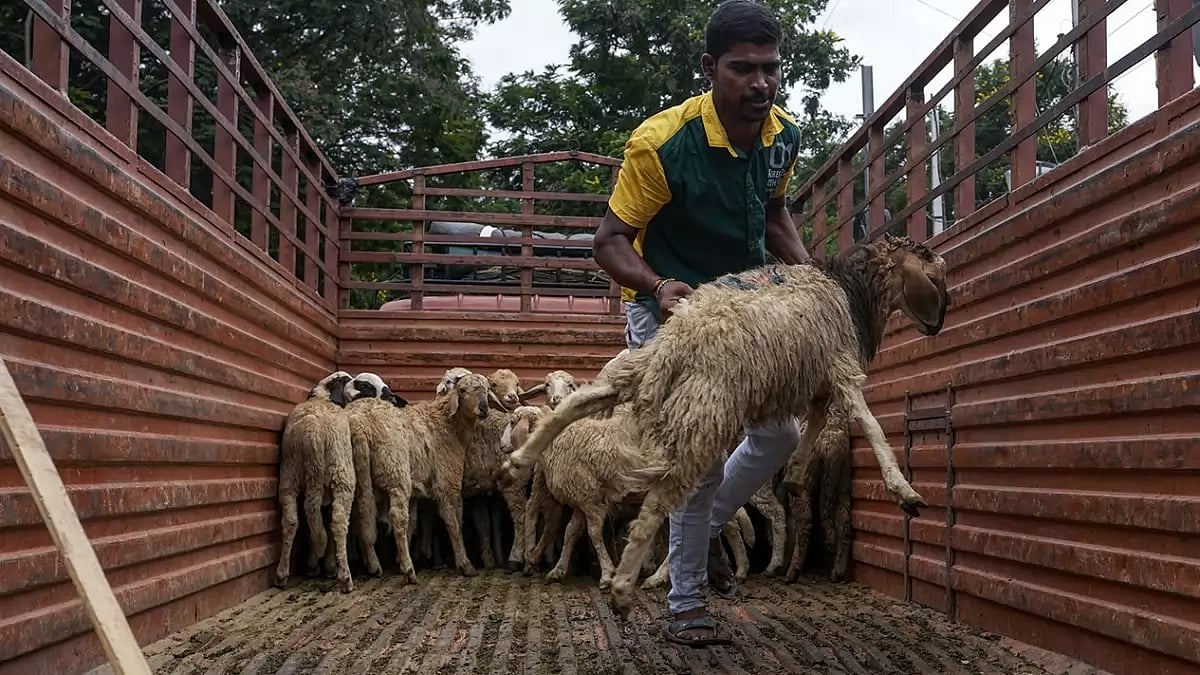 India Eid-al-Adha