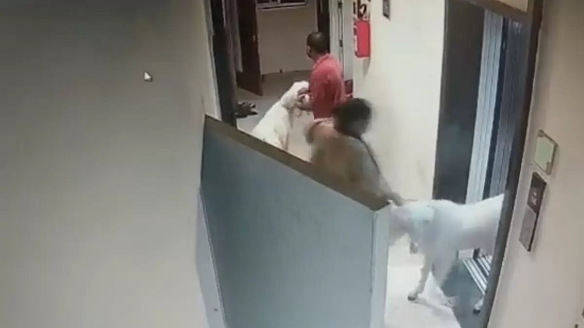 A screen grab from the viral video 